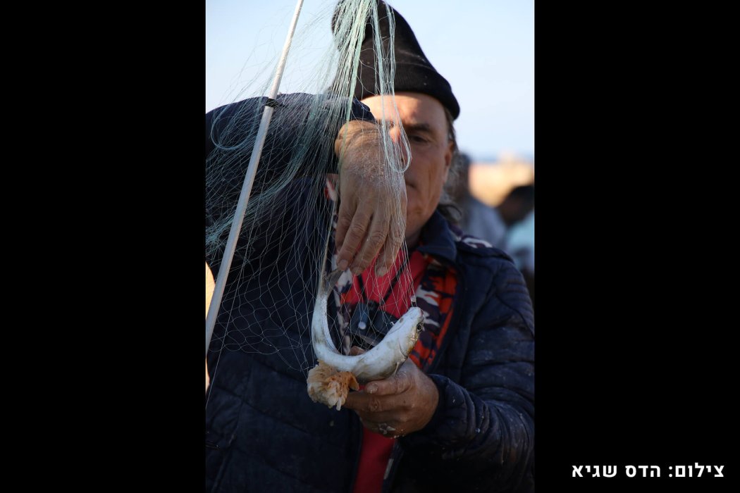 ניחוח יפו (21)