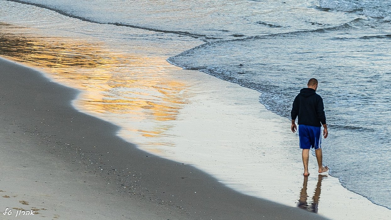 ניחוח יפו (23)