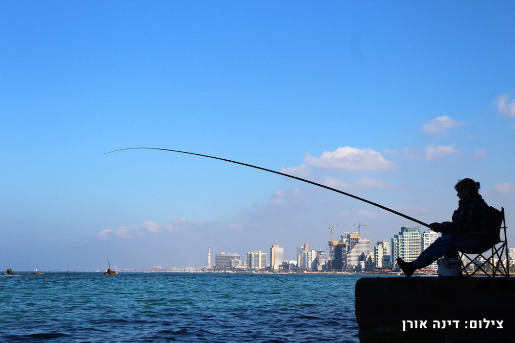 ניחוח יפו (25)