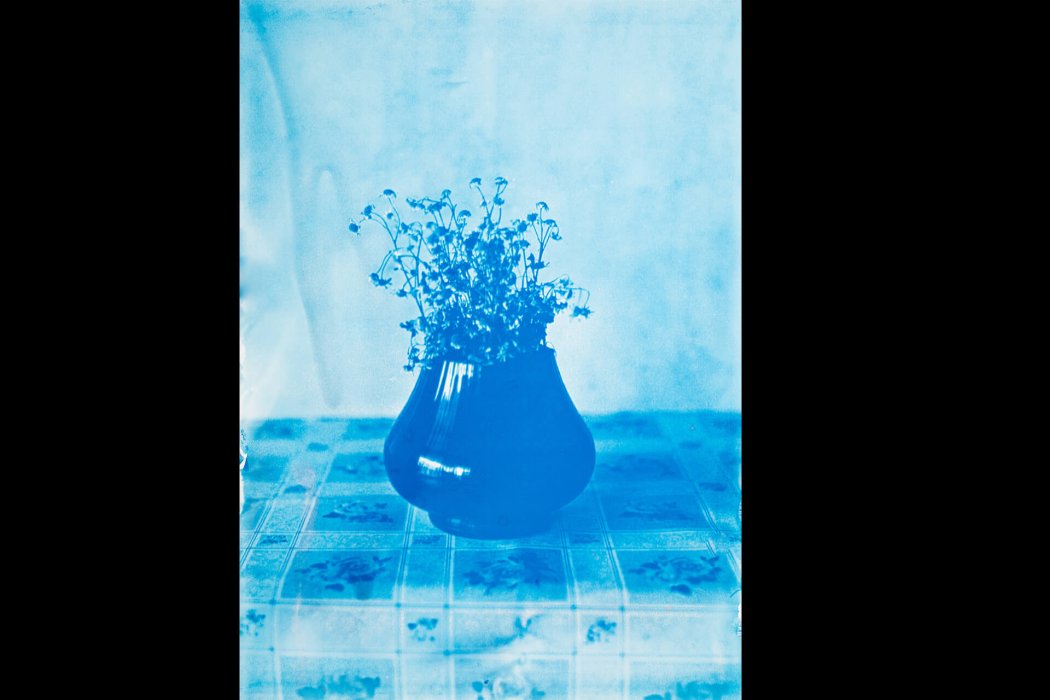 סיאנוטייפ (4)