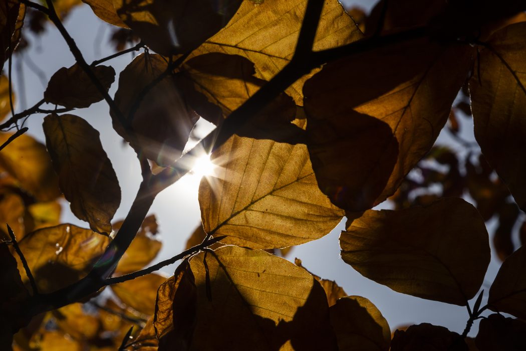 סלובקיה סוזנה (3)