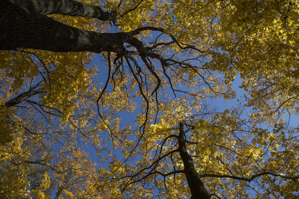 סלובקיה סוזנה (4)