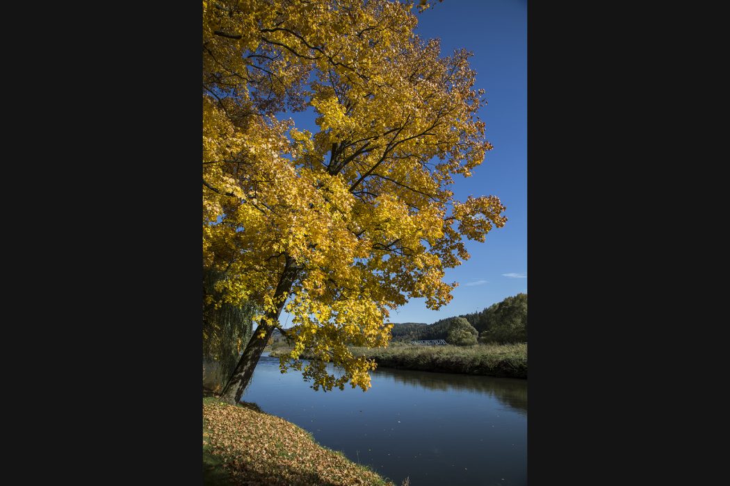 סלובקיה סוזנה (5)