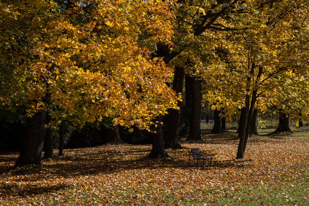 סלובקיה סוזנה (7)