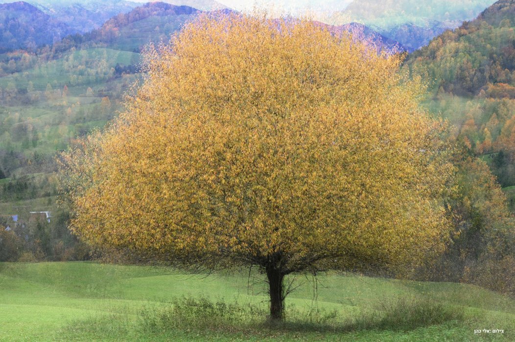 סלובקיה סתיו (13)