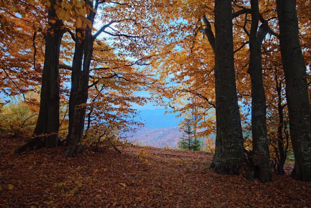 סלובקיה סתיו (24)