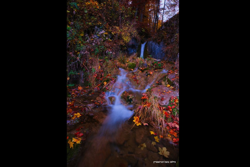 סלובקיה סתיו (28)