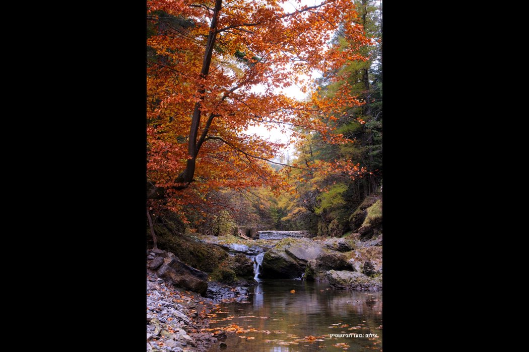סלובקיה סתיו (3)