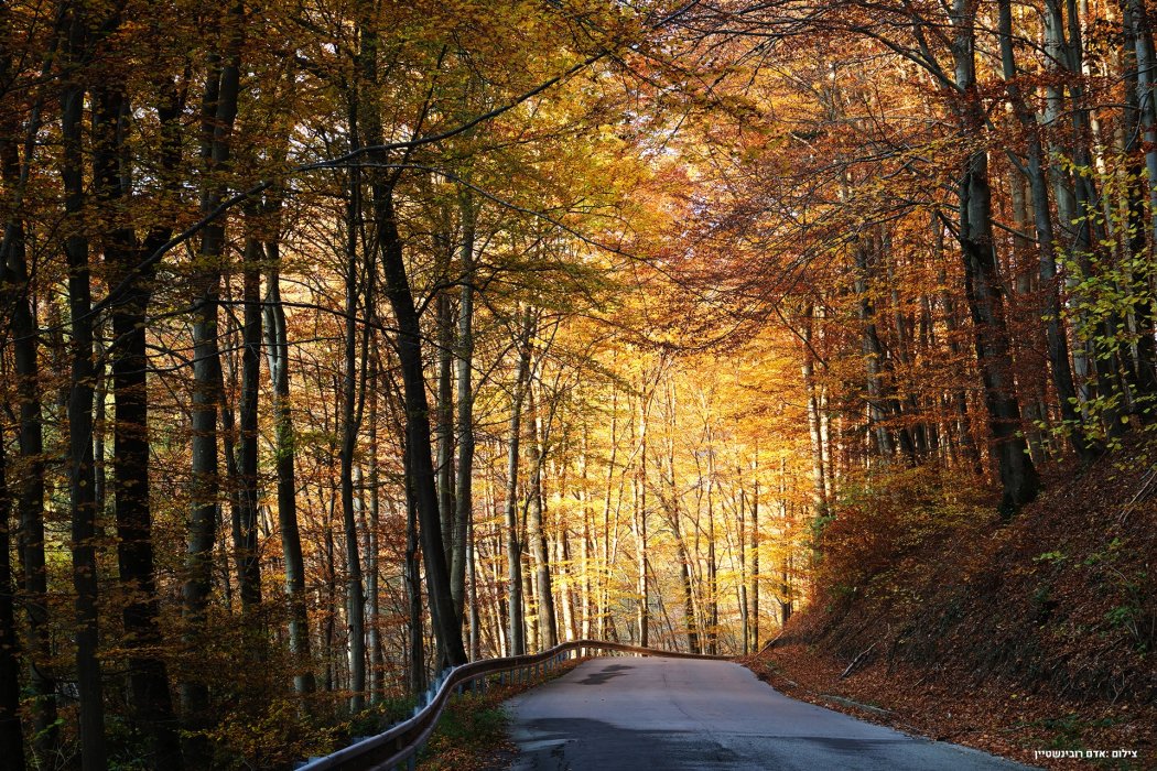 סלובקיה סתיו (5)