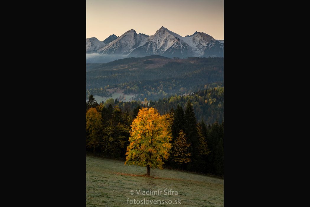 סלובקיה_חדש_15