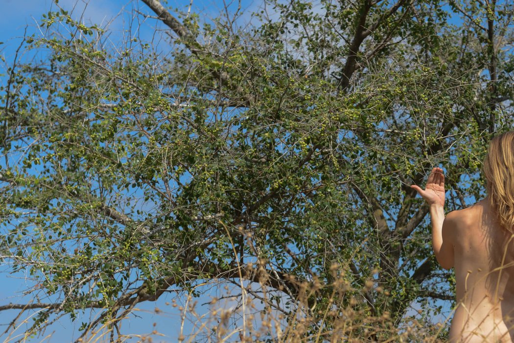 עירום חוץ (3)