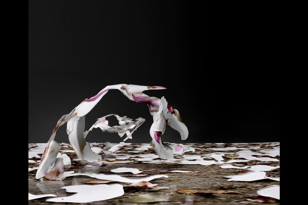 עירית תמרי הרצאה (4)