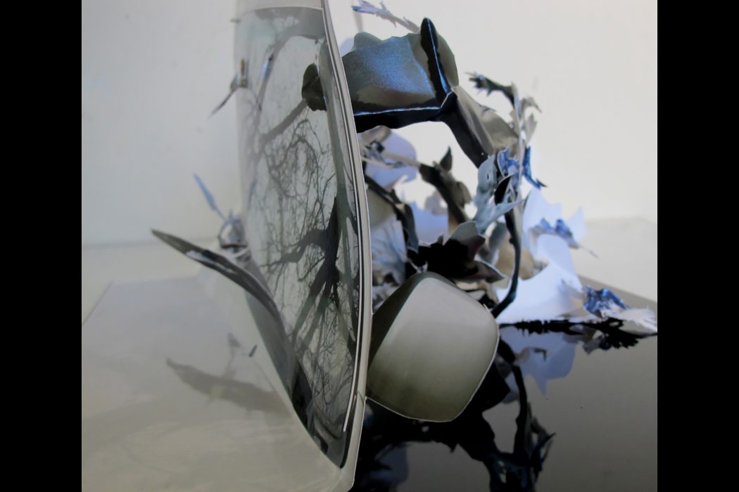 עירית תמרי הרצאה (5)