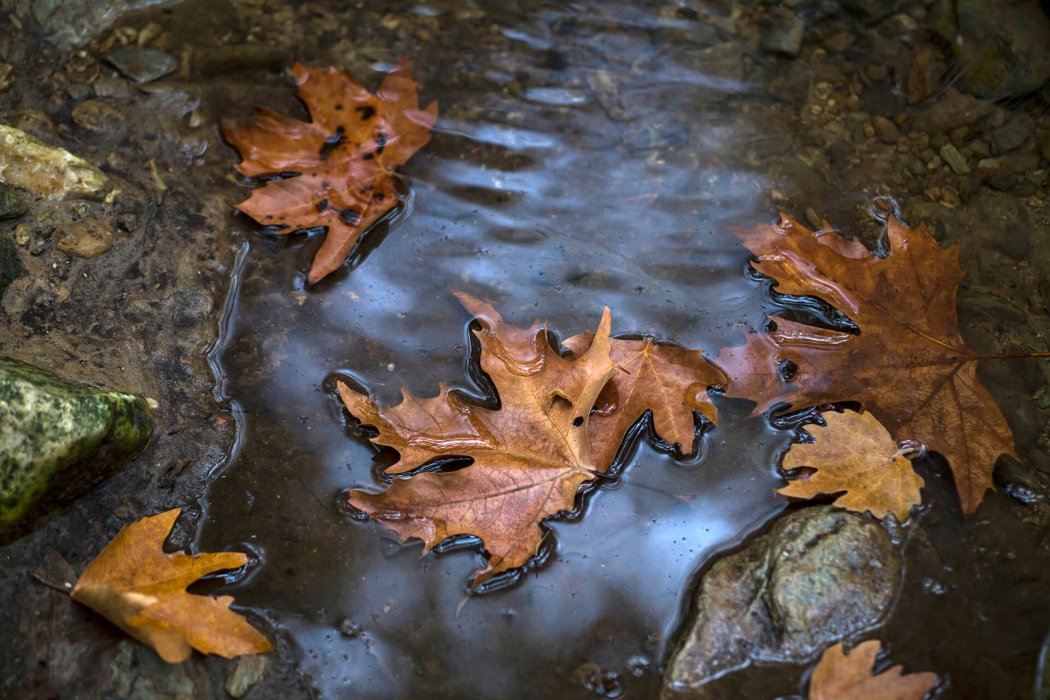 צפון יוון (37)