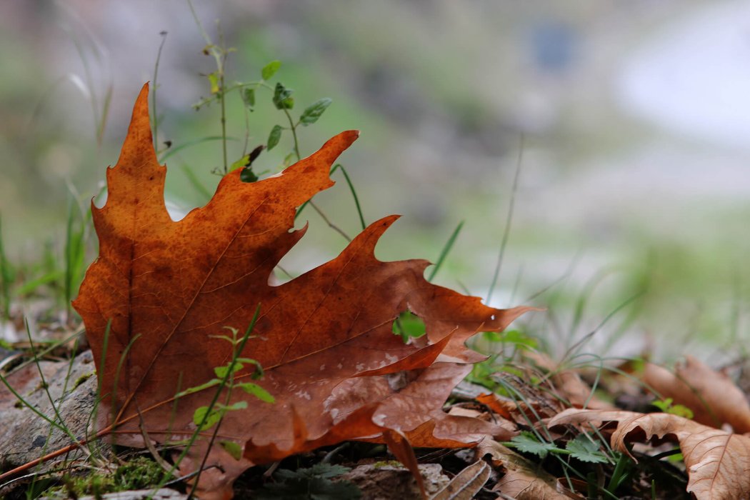 צפון יוון (38)