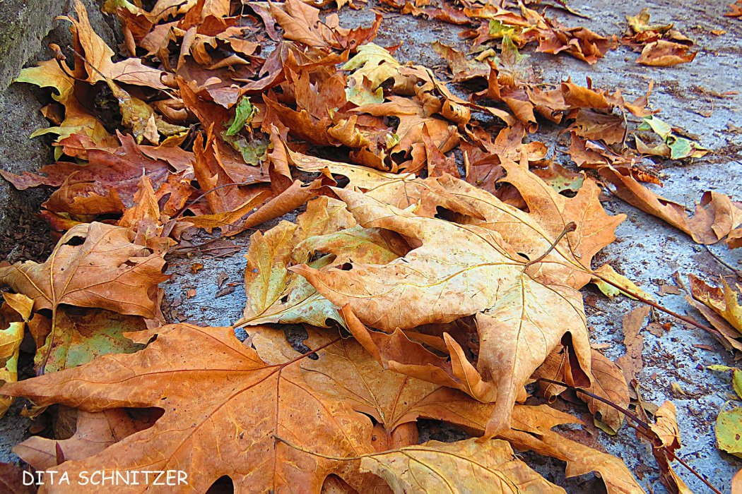 צפון יוון (40)