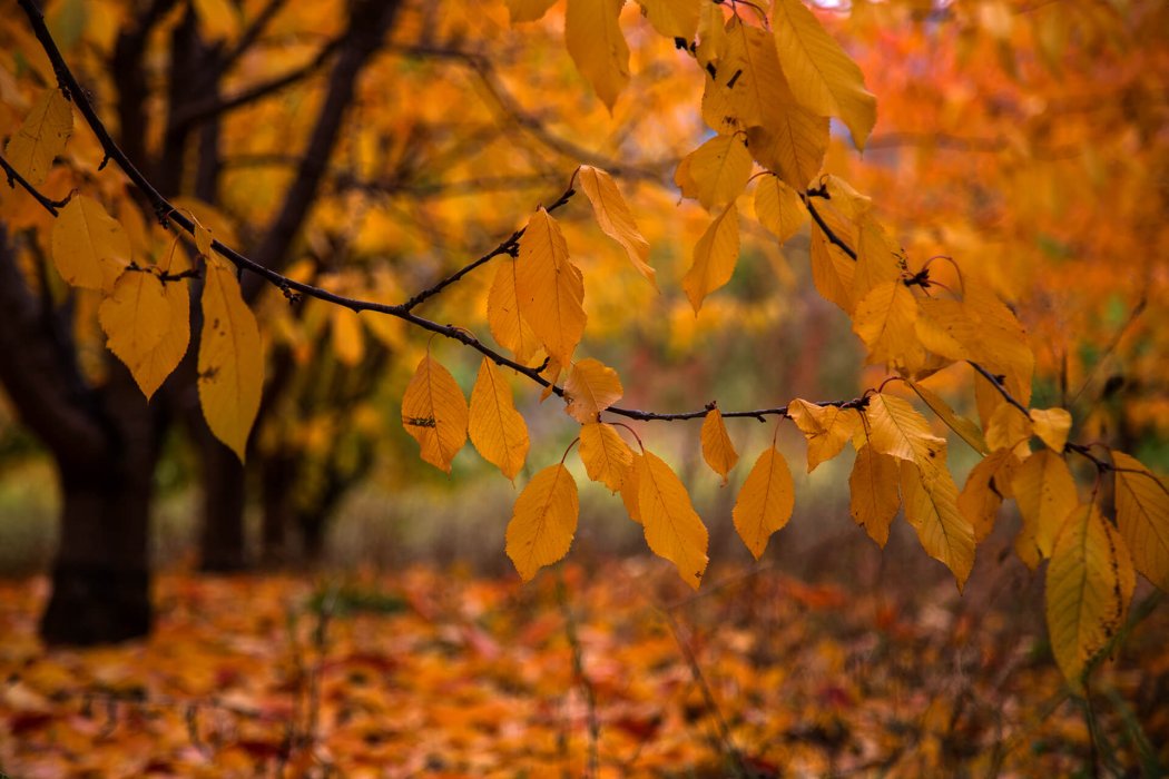 צפון יוון (41)