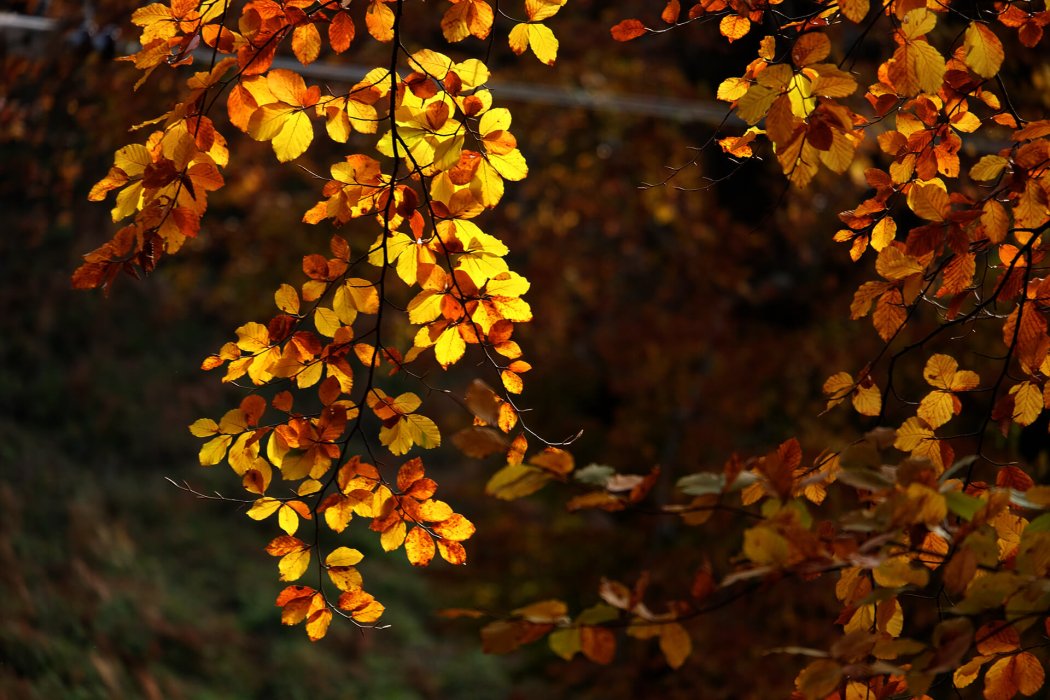 צפון יוון (55)