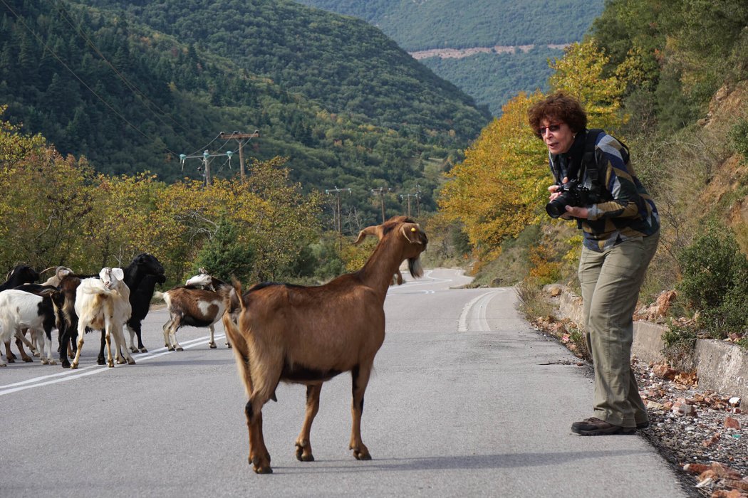 צפון יוון (60)