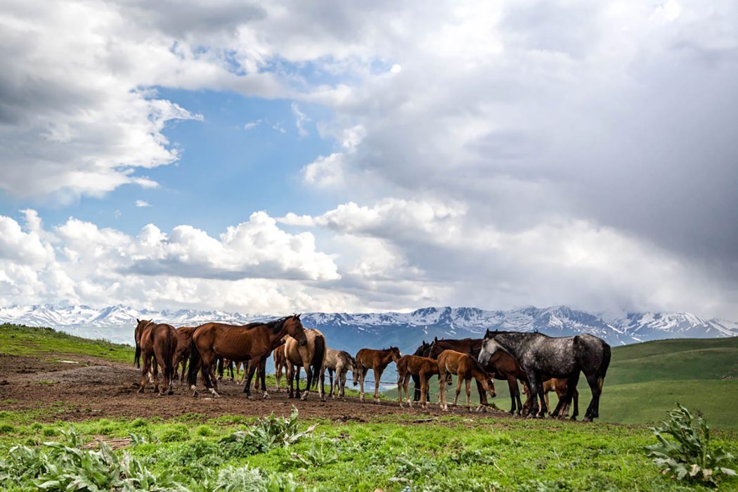 קירגיזסטן (15)