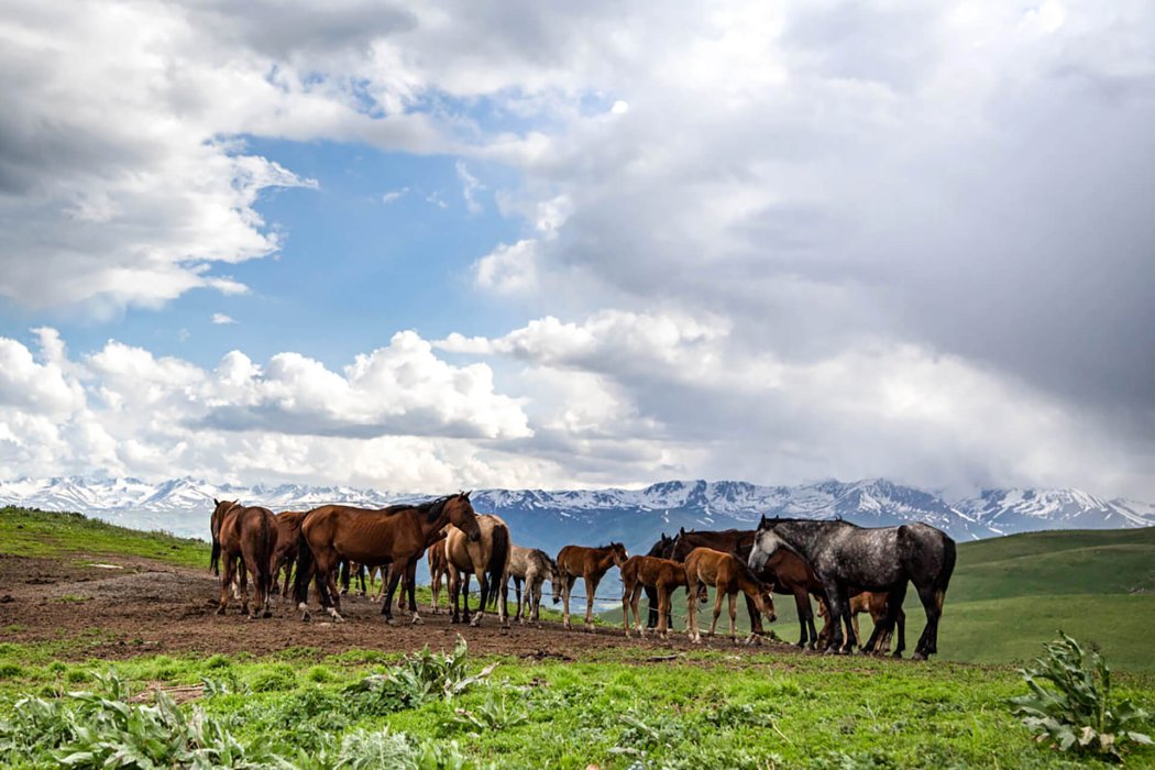 קירגיזסטן (15)