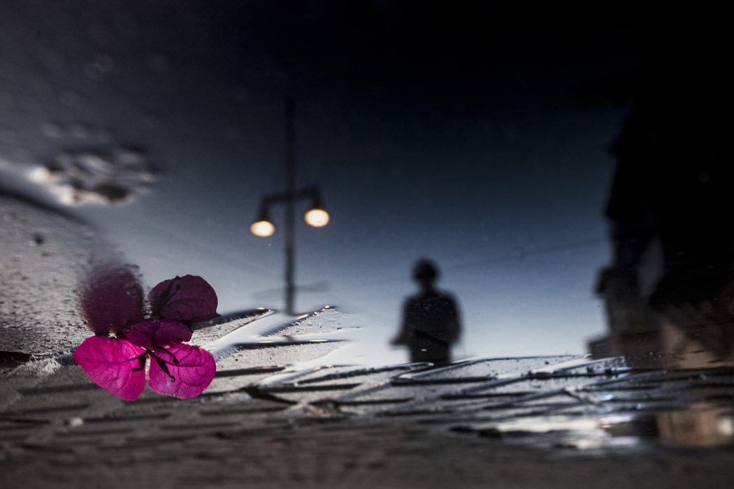 ריפלקציה (1)