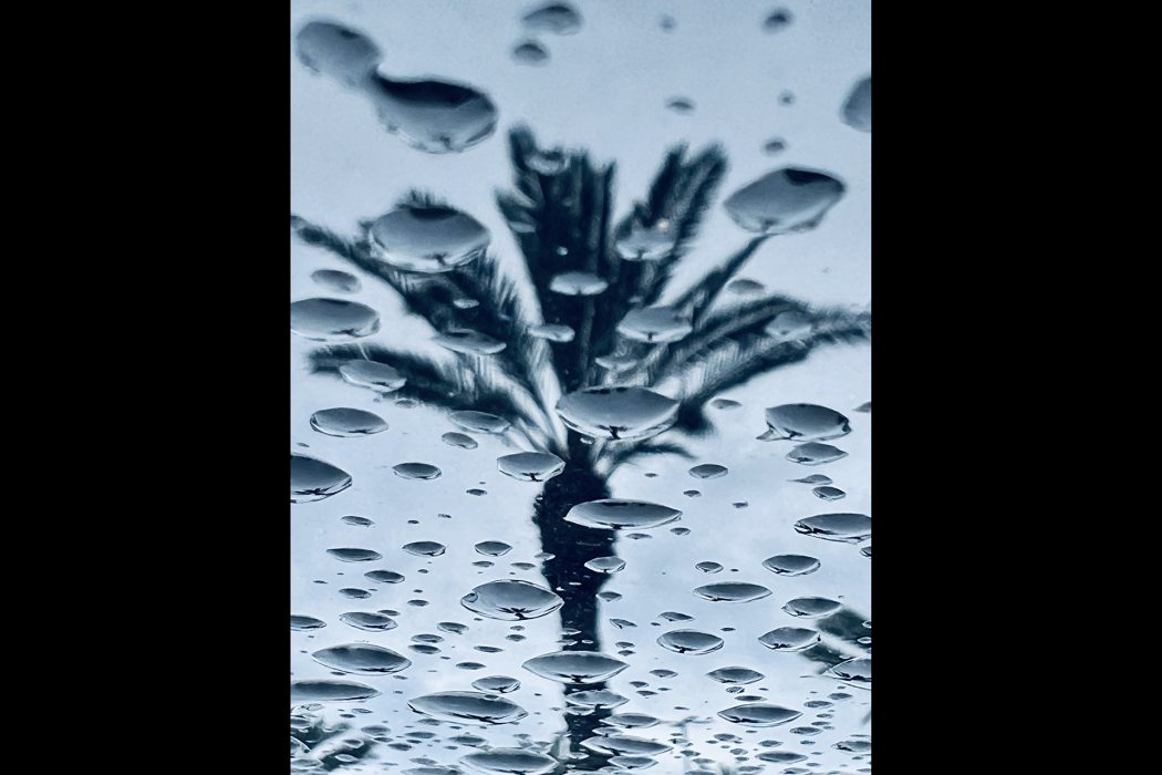 ריפלקציה (10)