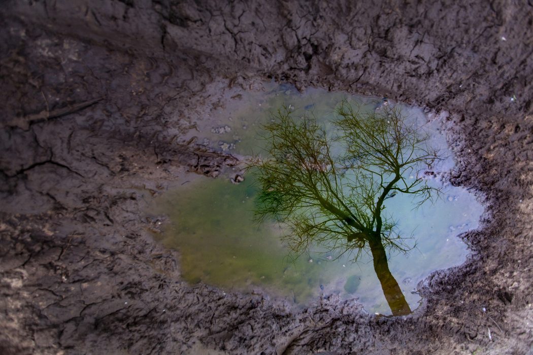 ריפלקציה (12)