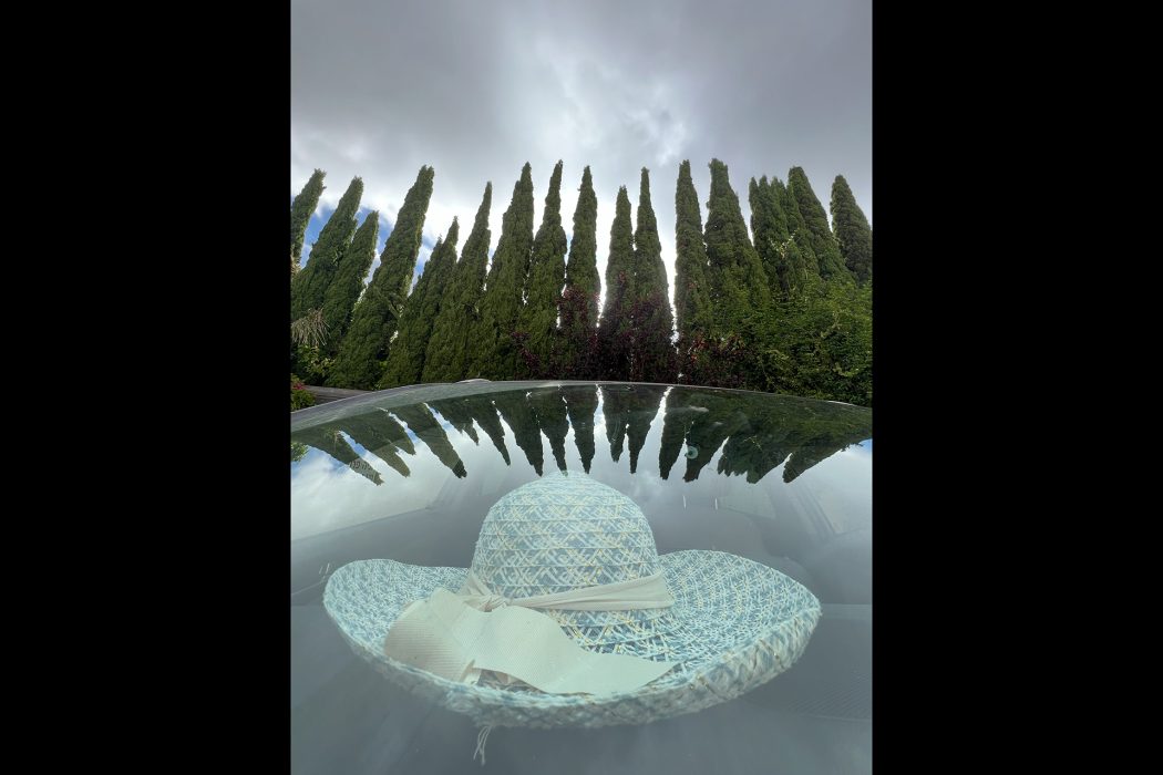 ריפלקציה (13)