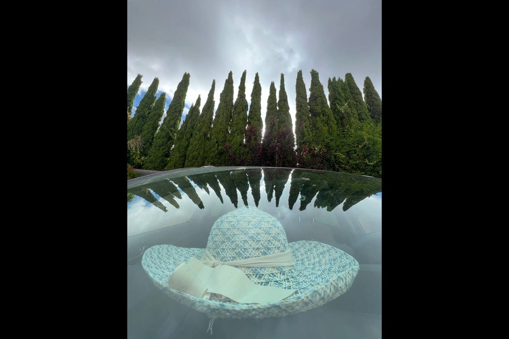 ריפלקציה (13)