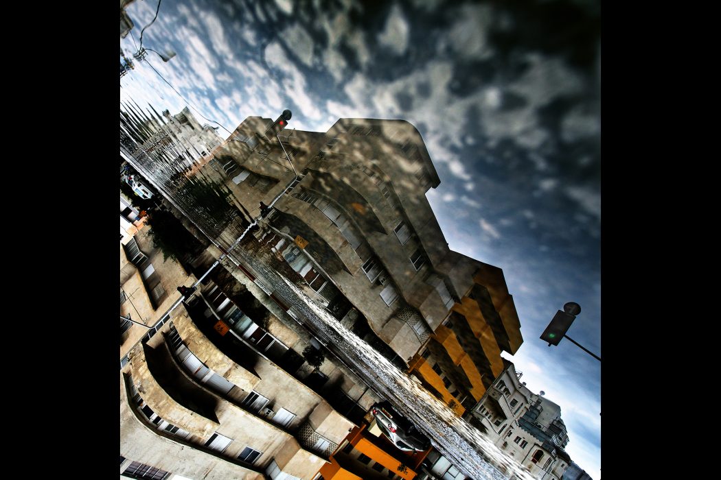 ריפלקציה (14)