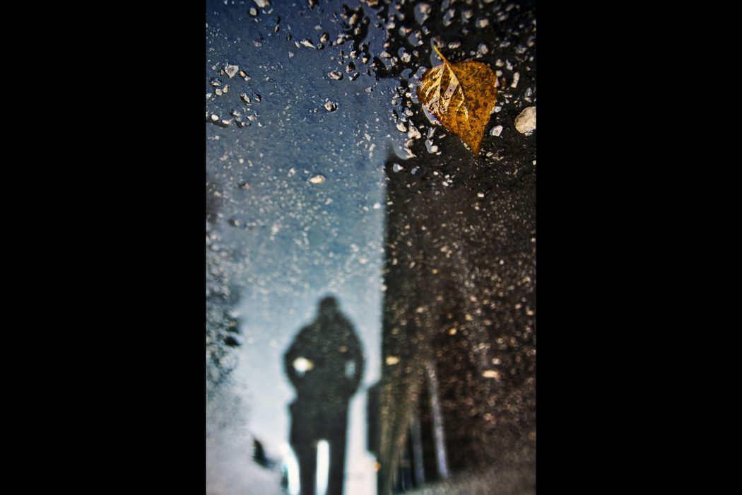 ריפלקציה (15)