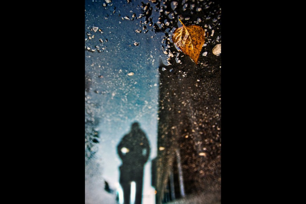 ריפלקציה (15)