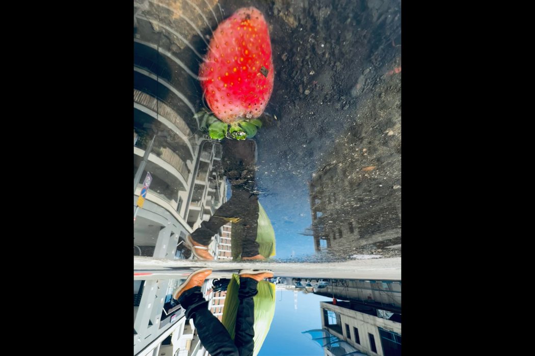 ריפלקציה (5)