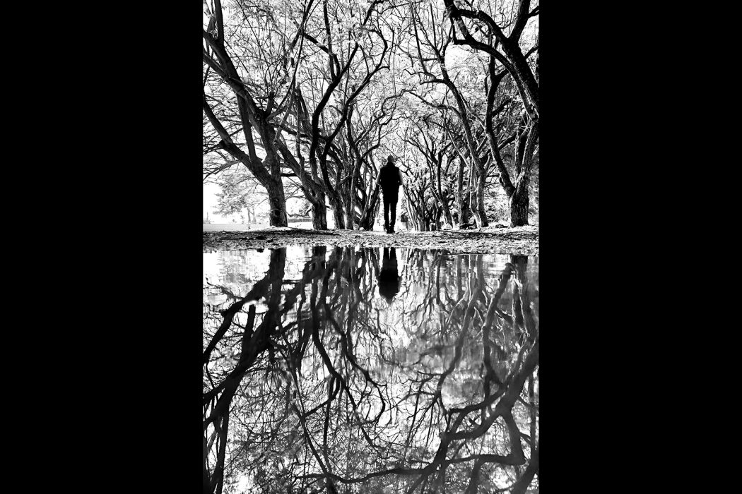 ריפלקציה (7)