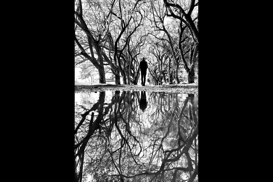 ריפלקציה (7)