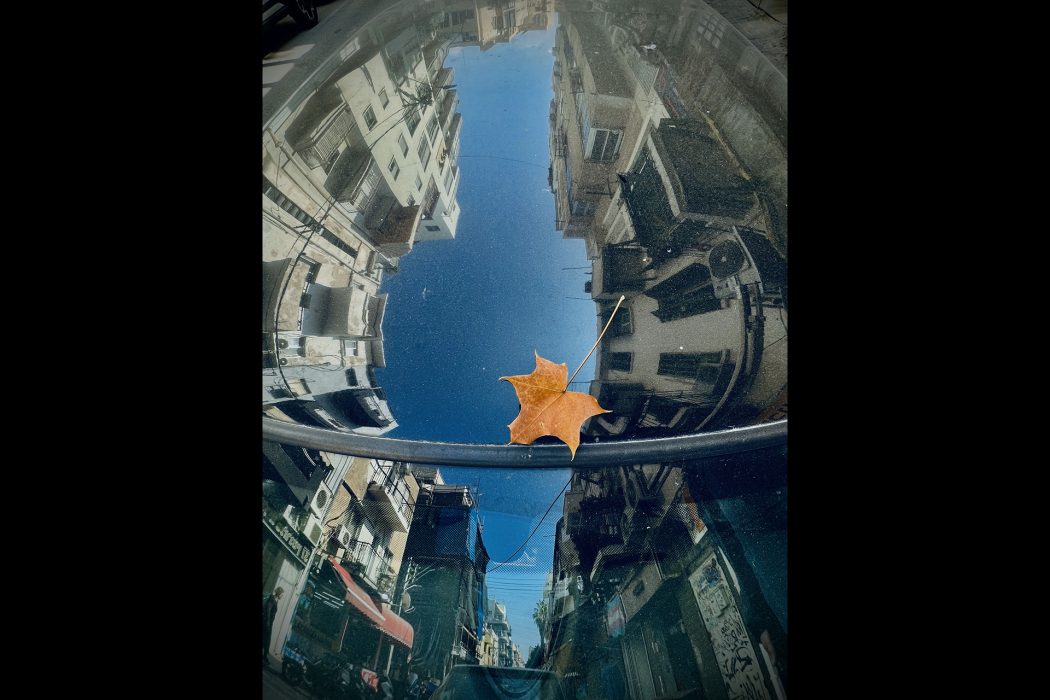 ריפלקציה (9)