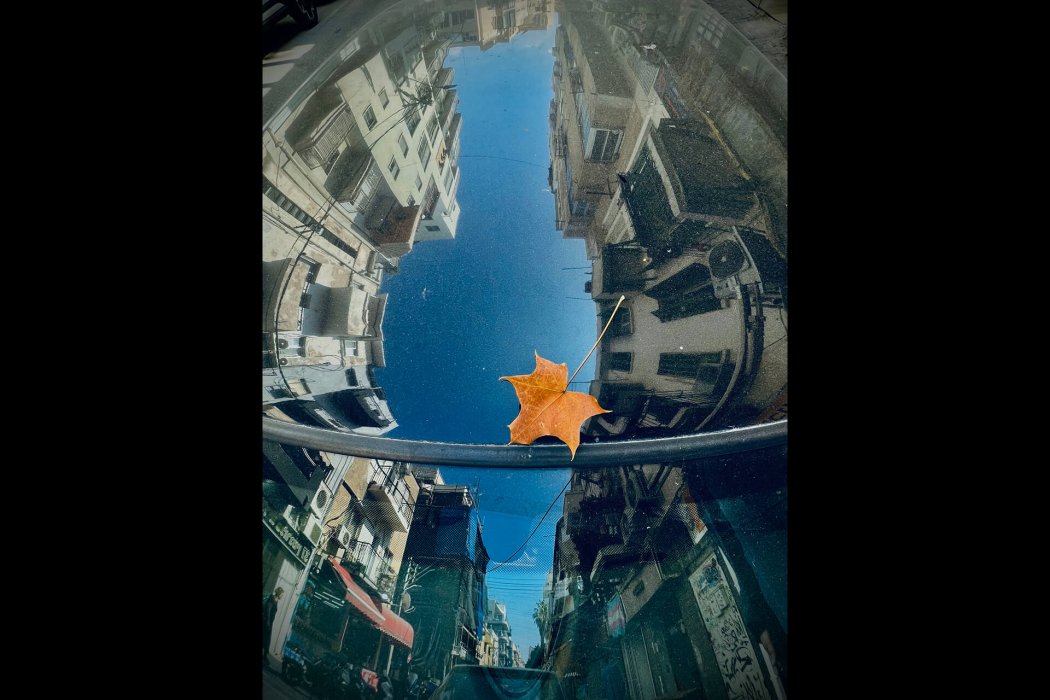 ריפלקציה (9)