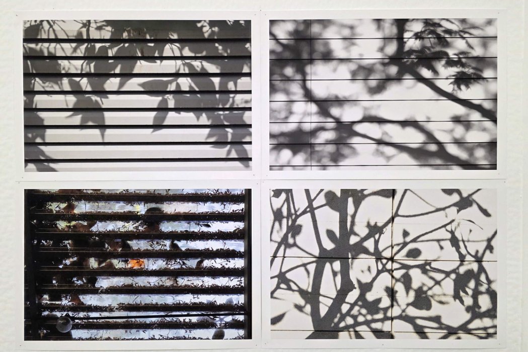 תערוכה 2025 אירית אוסטרובסקי (2)