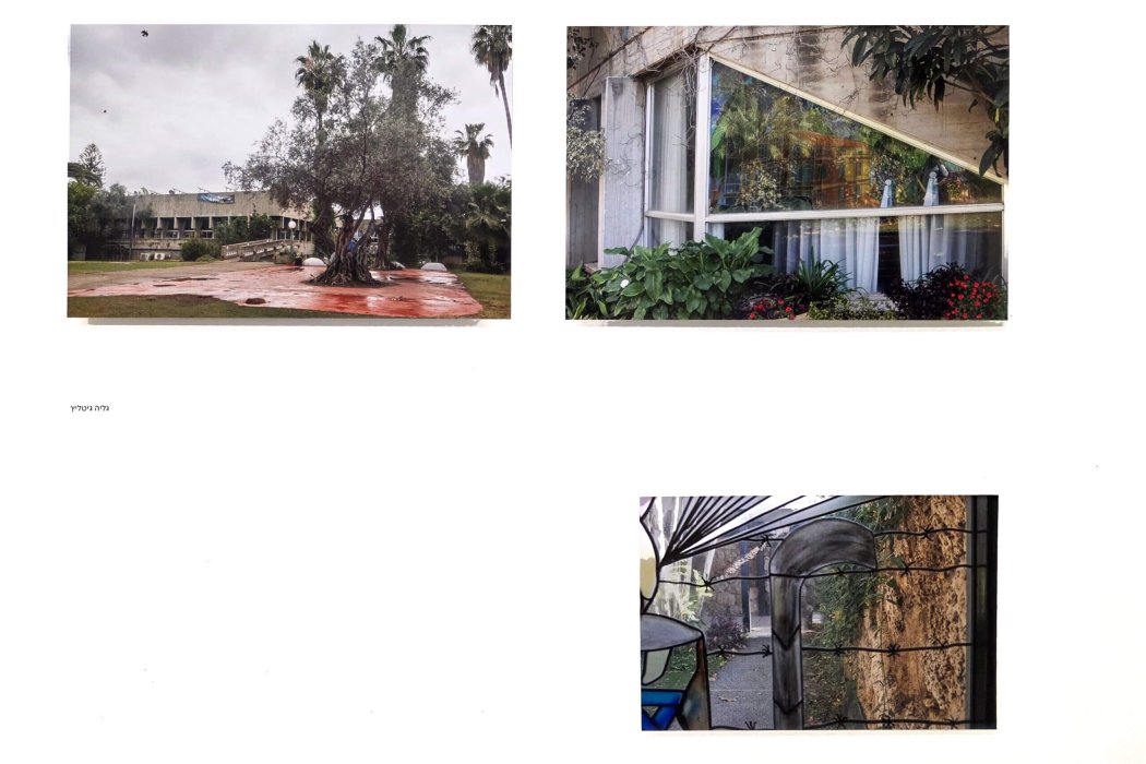 תערוכה 2025 גליה גיטליץ