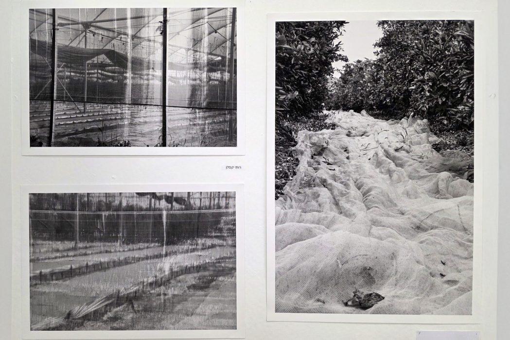 תערוכה 2025 רותי קפלן