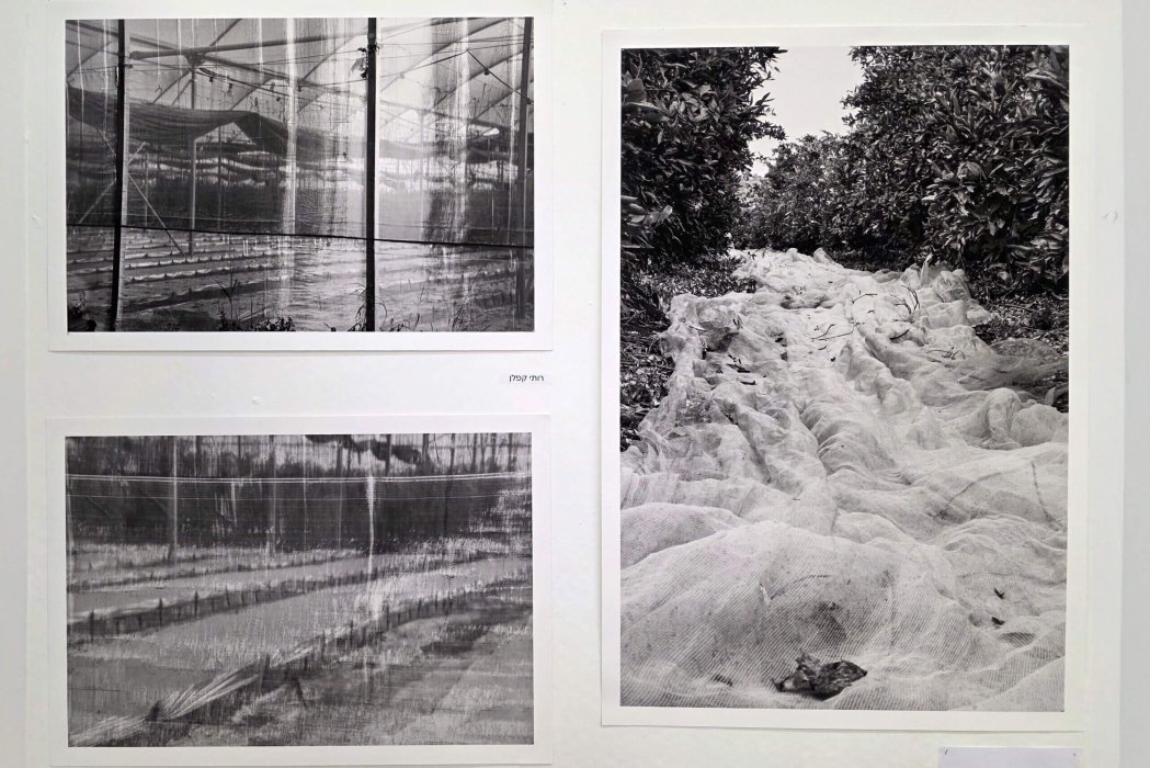 תערוכה 2025 רותי קפלן