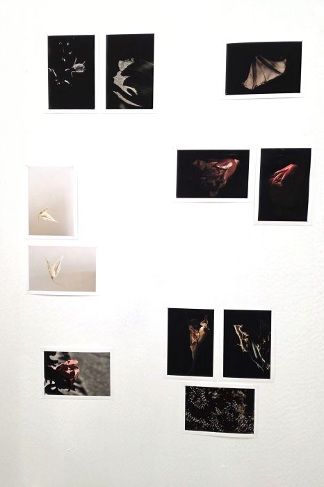 תערוכה 2025 רלי הנדל(2)