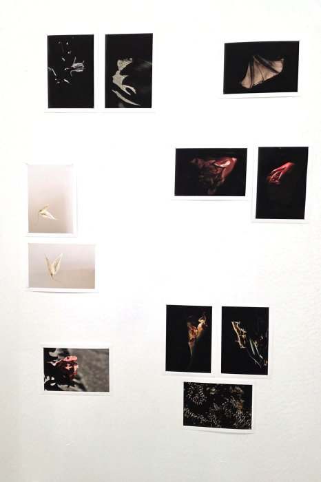 תערוכה 2025 רלי הנדל(2)